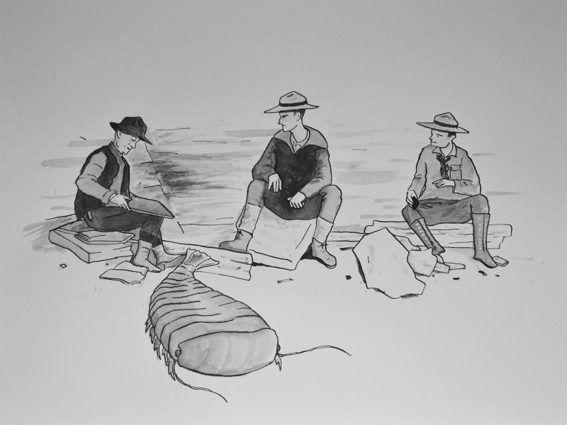 A hand-drawn illustration of three men in a fossil quarry, and a marine arthropod crawling away. Left to right: Charles Doolittle Walcott, Sidney Stevens Walcott, and Benjamin Stuart Walcott sit together with a much-enlarged living specimen of Sidneyia inexpectans. Illustrated by the author.